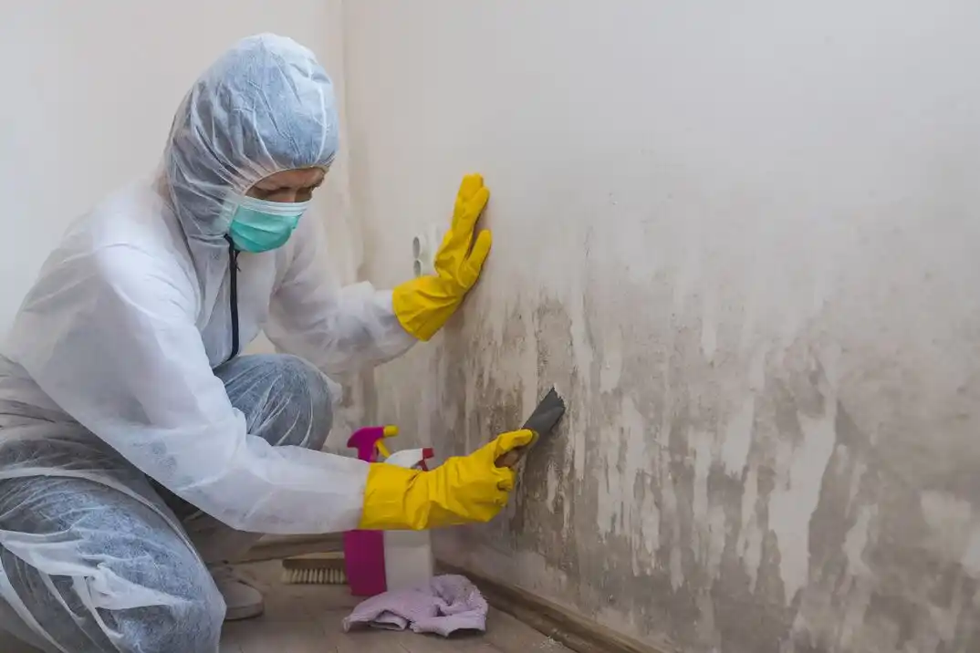 water damage restoration service Pioneer Square